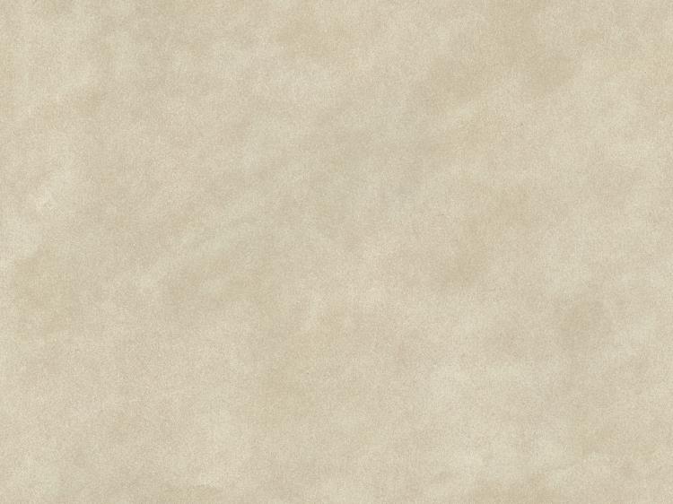 Fabric Image